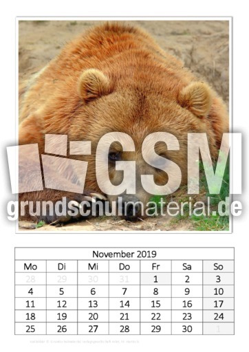November_Kodiakbär_1.pdf